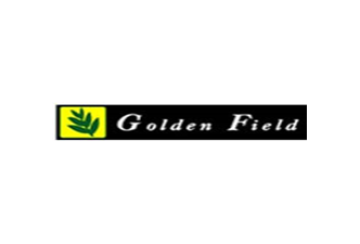 Golden Field