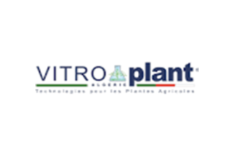 VITRO plant